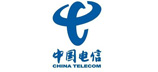 China Telecom lobby carpet
